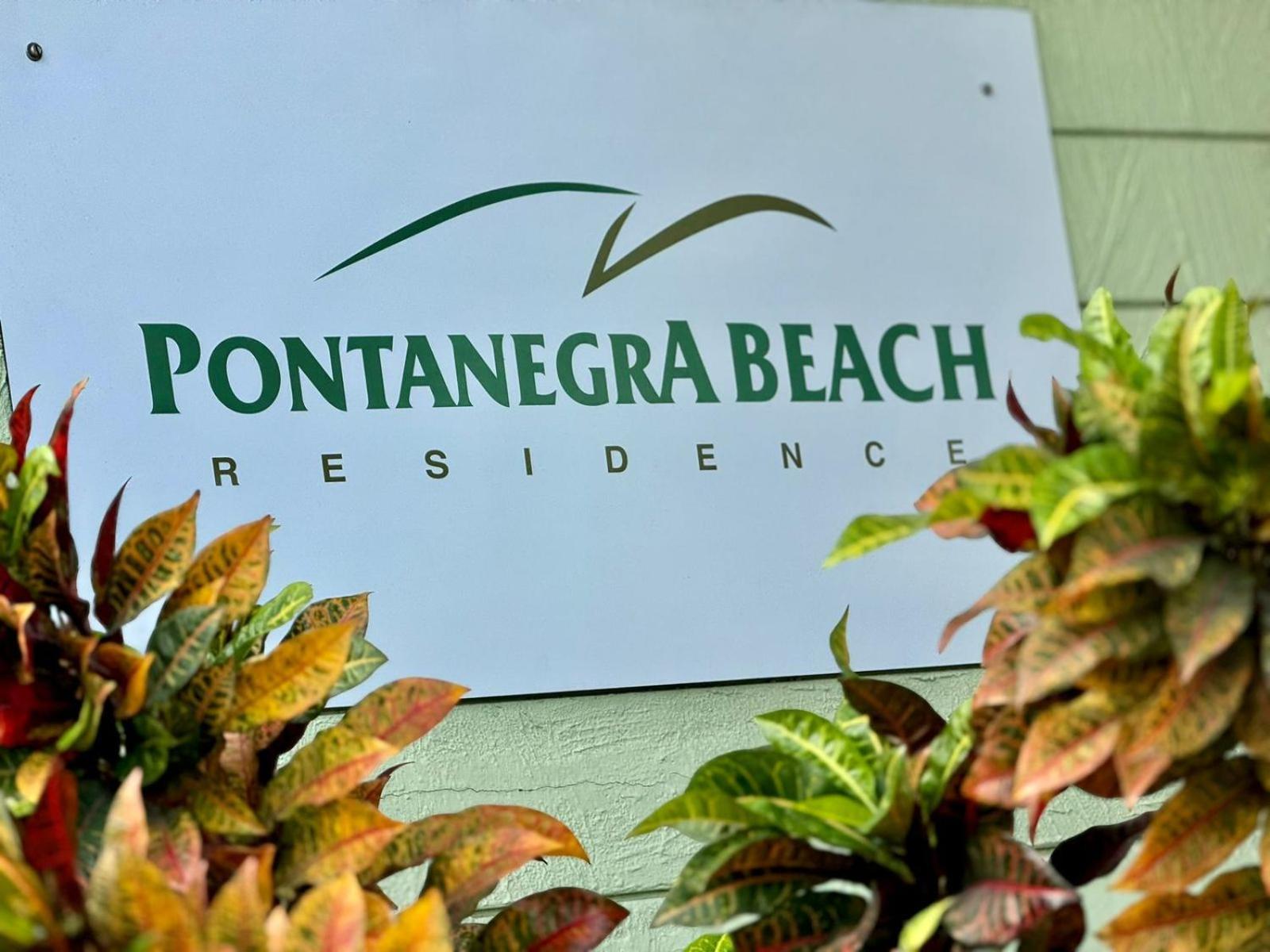 Edy Hospedagens Beira-Mar Flat 310 Com Vista Para O Morro Do Careca, Piscina E Localizacao Privilegiada Natal Ngoại thất bức ảnh